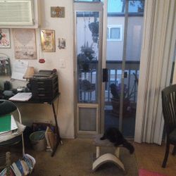Pet Door For A Sliding Glass Door 