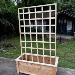 Planter Boxes with Trellis 🔥