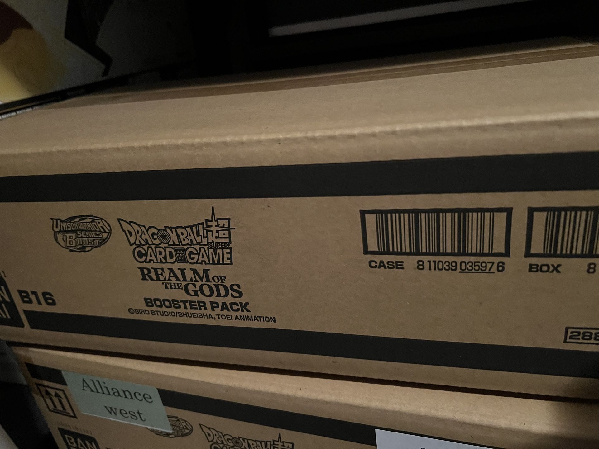 Realm Of The Gods Case
