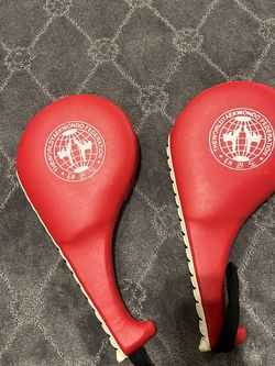 Taekwondo Kicking Pads Pair 