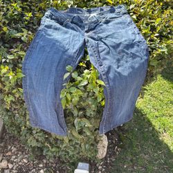 Citizens Of Humanity Women’s Size 32