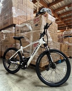 Soumye M101 Electric Mountain Bike