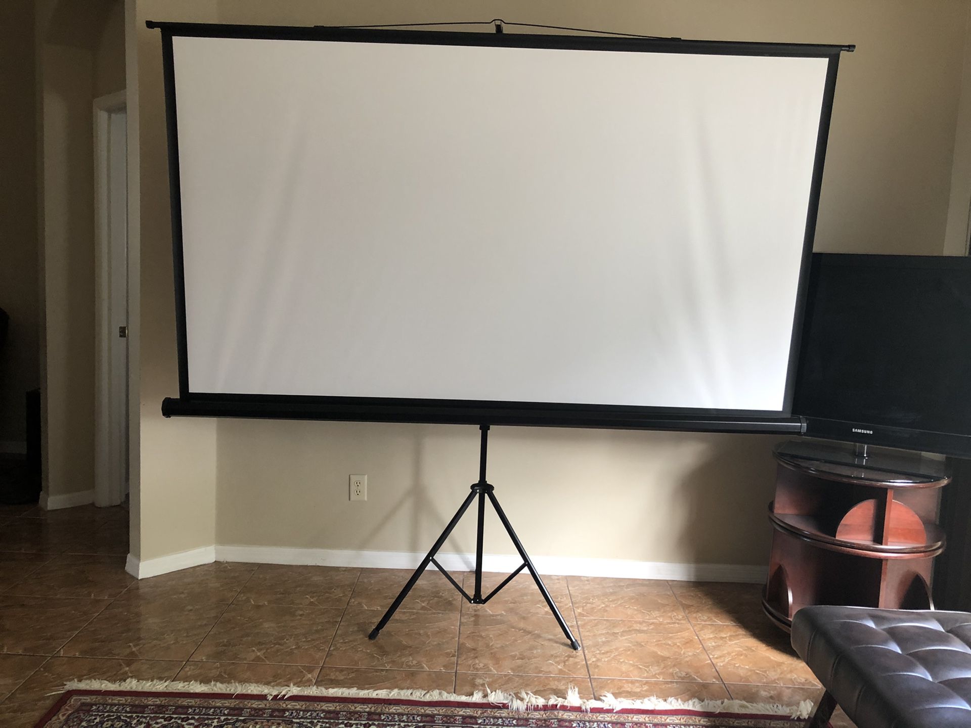 Projector Screen 120”