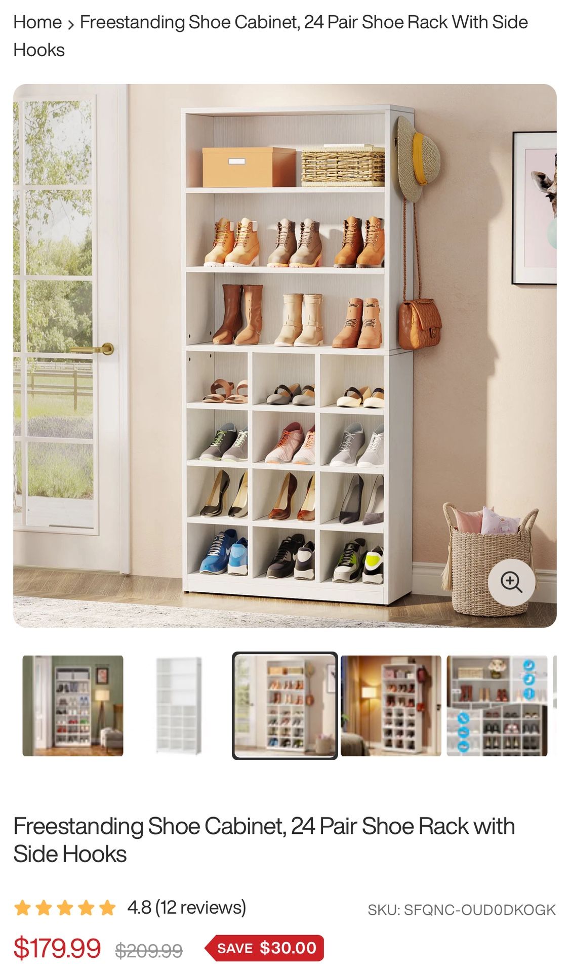 Freestanding Shoe Cabinet, 24 Pair Shoe Rack with Side Hooks