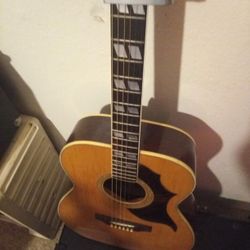 Acoustic Guitar 