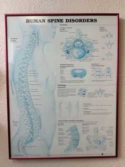 Medical posters/Charts