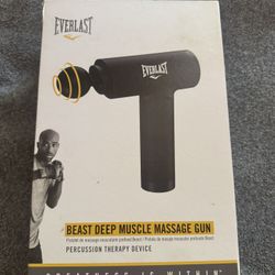 Massage Gun