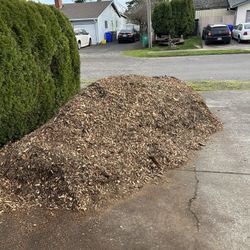 Free Wood Chips