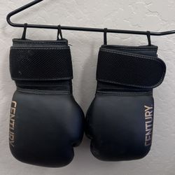 Century Boxing Gloves