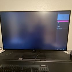 LG Monitor 