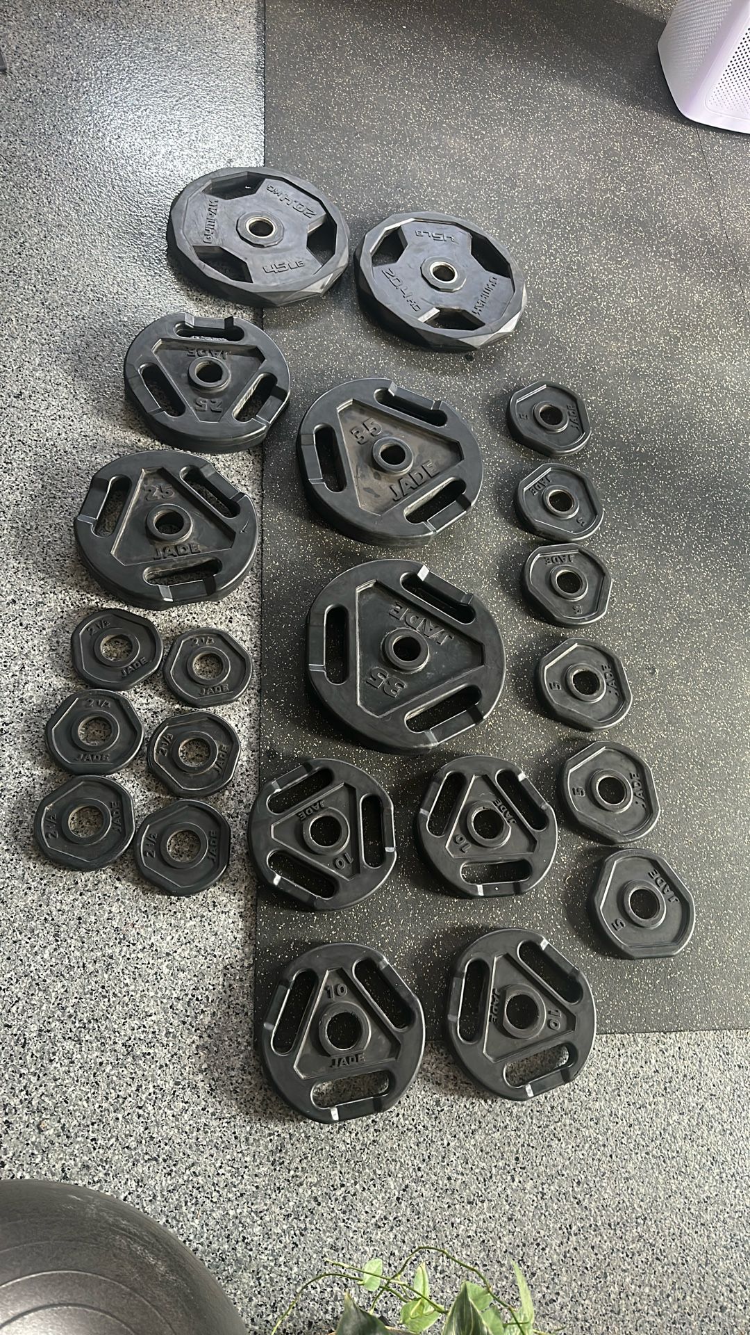 295 Lb Olympic Weight Set- $1 Per Pound