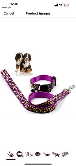 Pet Dog Halloween Traction Rope Leash + Pet Collar Adjustable Pet Leash Set with Small Bell, Witch