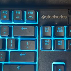 STEELSERIES membrane keyboard 