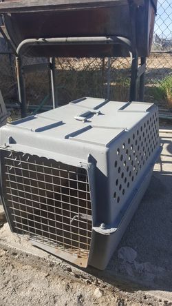 Casita de perro