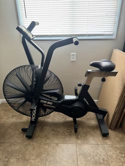 Rogue Echo Bike