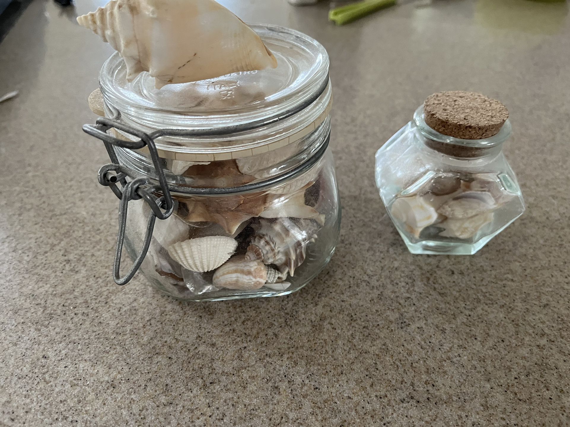 Seashells in a glass container