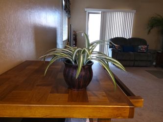 Small Artificial Plant 