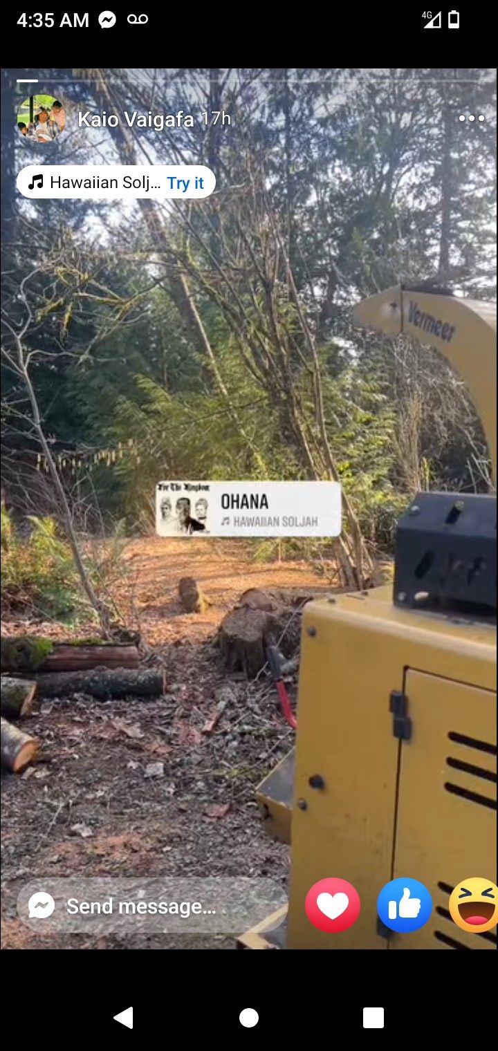 Firewood