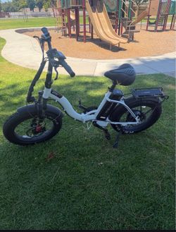 Eco Motion E Bike