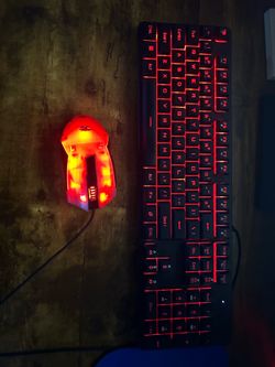 Wired Mouse & Keyboard