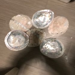 8” Abalone Shells