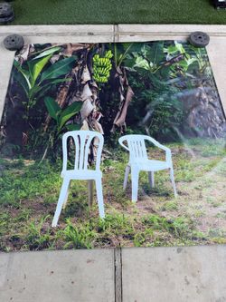 Bad Bunny DTMF Album cover party backdrop