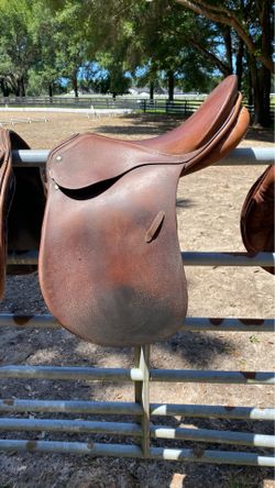 Passier Baum Hannover 17” medium tree.