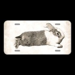 License Plate Novelty Car Front Bunny Rabbit Mammal Rodent Hare