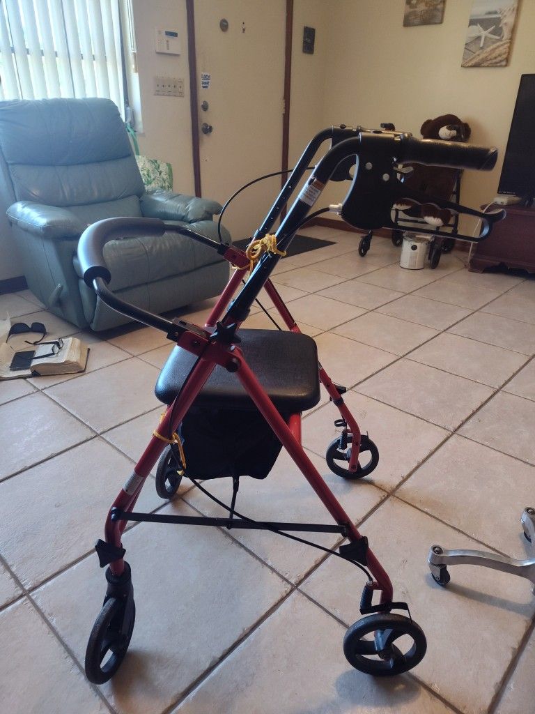 Travel Buddy Walker By Drive