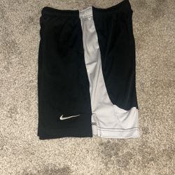Nike Dri-fit Shorts 