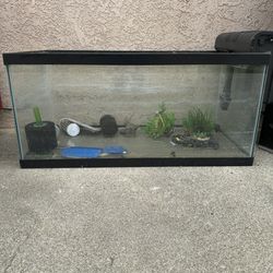 40 Gal Breeder Fish Tank