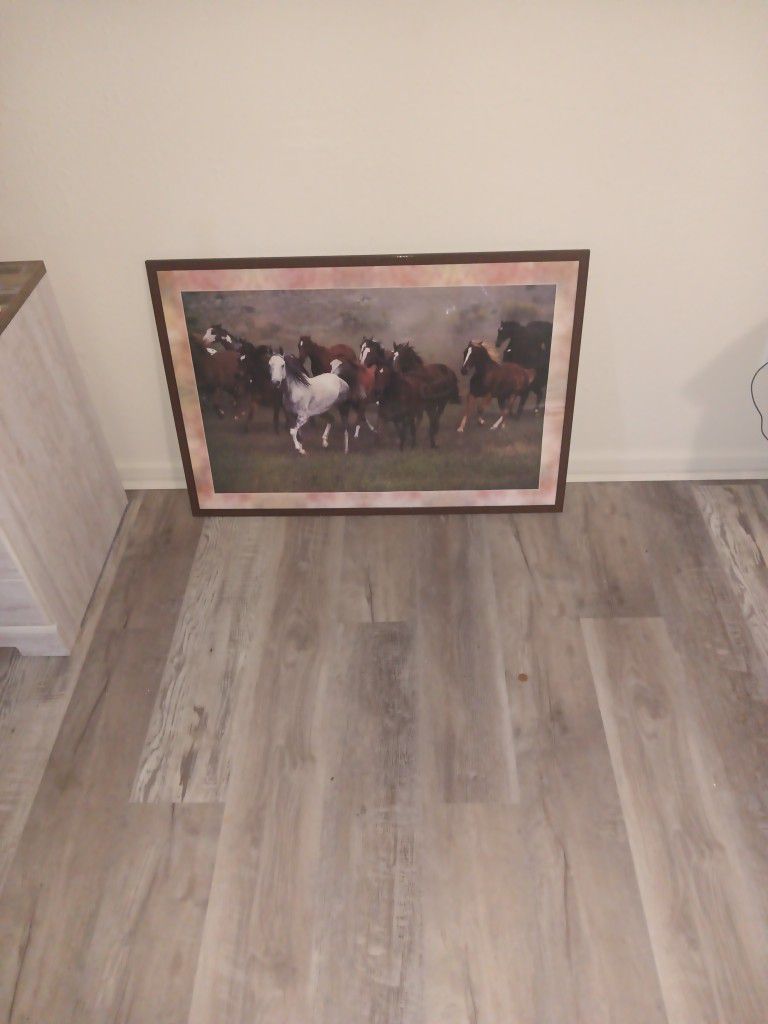 I Have A Horse Picture For Sale