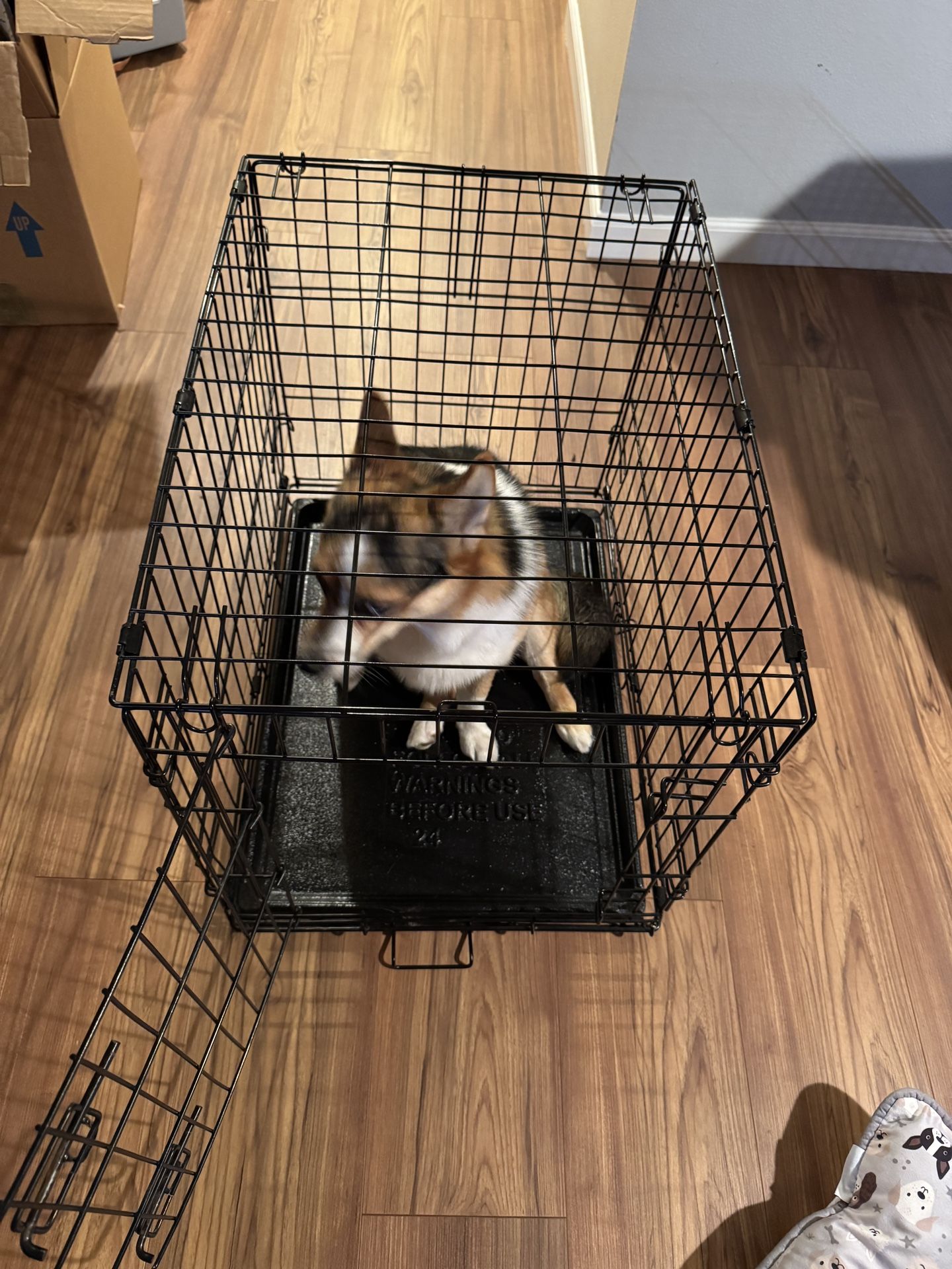 Dog Crate