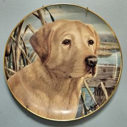 Vintage Ceramic Blonde Yellow Lab Labrador Dog Plate