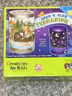 Grow And Glow Plant Terrarium