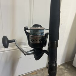 Penn Fierce 6000 Combo