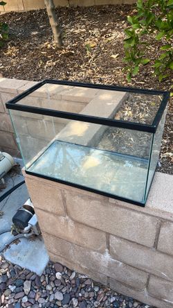 10-Gallon Tank