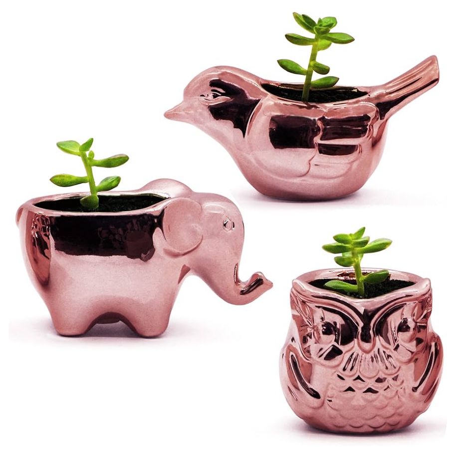 Small Plant Pots - Animal Succulent Planters with Drainage - Rose Gold Porcelain Ceramic Set of 3
