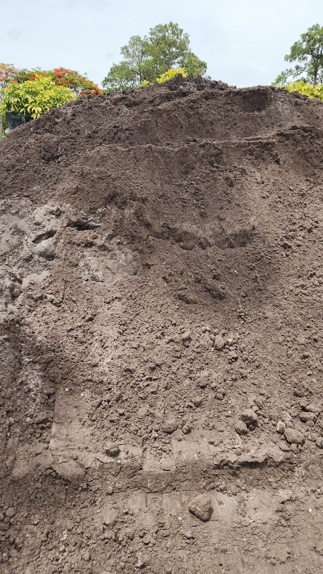Top Soil - Yard