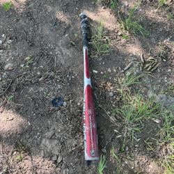Bat