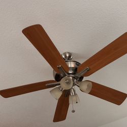 Ceiling Fan