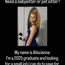 In Need Of A Baby Sitter Or Petter Sitter?