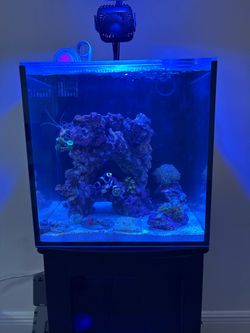 Saltwater Aquarium Setup – 15 Gallons (Complete System)