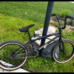 Mongoose Mods 