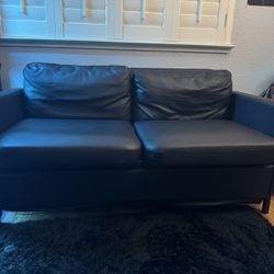 Black Couch 