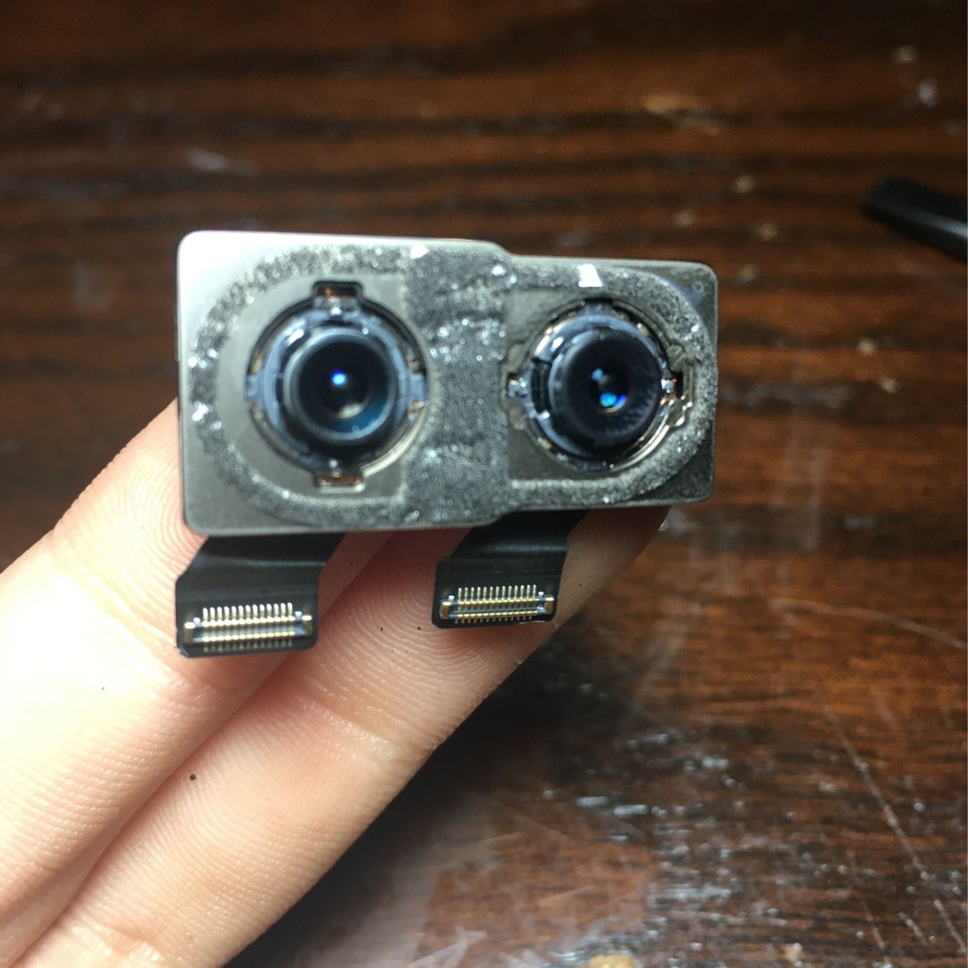 iPhone X Rear Camera