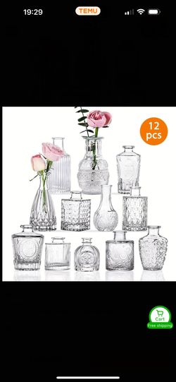 12pcs Bulk Glass Bud Vases