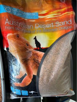 Sand for Lizard Enclosure