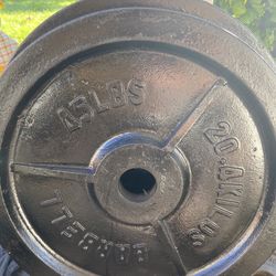 45 Lb Plates $90 Olympic 