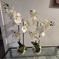 Fake plants with gold pot